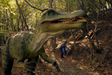 "아이폰으로 찍었어요"... 베를린 은곰상