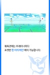 키울만큼 키웠으니 체육관 좀 먹어볼까? 체육관 배틀 핵심 정리