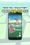 키울만큼 키웠으니 체육관 좀 먹어볼까? 체육관 배틀 핵심 정리