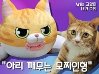 [이주의 텀블벅] 인형에게 물려봤니? 유튜브 스타 깨무는 고양이 아리 모찌인형