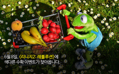 [카드뉴스] 배틀로얄 수확 이벤트? 리니지 2 레볼루션, 핏빛 정원 이벤트