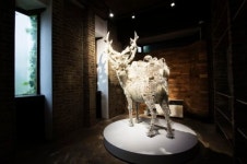 Architectural studio reborn as modern art museum