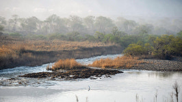 Chimsil wetlands recognized as wetland protection zone