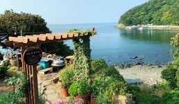 Explore southeastern coasts treasures on Geumodo Island