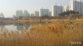 [포켓몬고] 마음이 차분해지는 호수와 쏟아지는 꼬부기들! 부천 상동호수공원