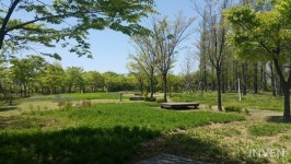 [포켓몬고] 포켓몬 페스티벌 기간, 포켓몬GO 즐기기 좋은 송도 미추홀, 해돋이공원