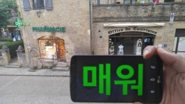 [검은사막] 황금 두꺼비 여관에서 1박2일, 실제 하이델을 가다! 프로 모험가 매워 인터뷰