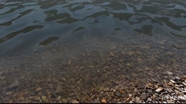 [유나이트 서울 2018] 매운탕 빼고 다 되는 루어 낚시, VR 피싱