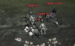 [달빛조각사] 레벨업과 필드 보스를 동시에! 40~80레벨 사냥터 명당 소개