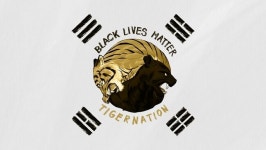 젠지 e스포츠, BLM 관련 태극기 패치 변경... 팬들 의견 수렴