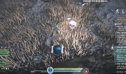 엘리온을 더 효율적으로 즐기는 방법? 엘리온 꿀팁 모음