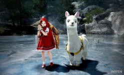 [검은사막] 끝없는 겨울의 산 등장! 기간 한정 알파카를 얻어보자