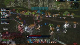 안녕, 아르보레아...그리고 즐거웠어! 추억 가득한 테라, PC 서비스 종료