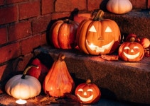 [이터널 리턴] 루미아 섬 실험체들이 할로윈을 즐기는 방법