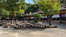 바람의나라: 연으로 민속촌에서 한바탕 놀아보세