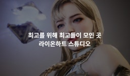 [오딘: 발할라 라이징] 라이온하트 2024년 매출, 22.3% 감소한 919억원