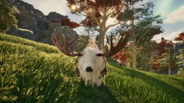 [정보] 내실 끝판왕 바로 이것… ‘펫 이해도작’ 공략