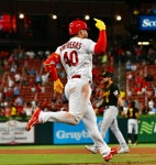 올스타 포수, 배트에 맞아 팔목 골절…엎친데 덥친 세인트루이스 최하위 추락