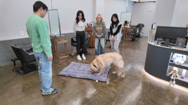 미용실 점령한 독불장군 리트리버...문제 행동의 비밀은? (세상에 나쁜개는 없다)