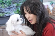 한고은, 반려견 향한 무한한 애정...아이들 아니었으면 우울증 약 복용했을 것 [MHN:픽]