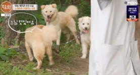 무술 3단→10년째 노래 공양... 밴드부 출신 K-레전드 스님의 반전 일상 (특종세상)