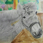 지적 장애아동 조유진 양, 재활승마가 찾아준 감동스토리