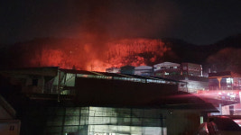 경기 광주 플라스틱 공장서 화재…산불로 번져 0.6ha 소실