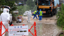 강원 고성 농장서 아프리카돼지열병 발병…석달여만에 재발