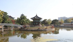 궁궐·조선왕릉 실내시설 전면 개방…안내 해설도 재개