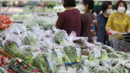 5월 소비자물가 5.4%↑…13년 9개월 만에 최고