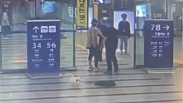 평택역서 강아지 내던지며 한동안 학대…경찰 수사 착수