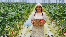 “설 명절에 못 판 과일 삽니다”…쿠팡, 전국 농산물 2백여 톤 매입