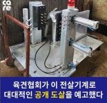 춘천서 전기충격 개 도살 공개 논란…잔인한 행위 반발