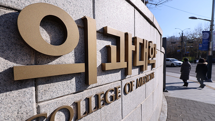 2025학년도 의대 모집 과정 논란, 의료계와 정부의 입장 대립