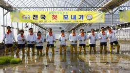경기 이천서 첫 모내기…비닐하우스 논서 수막재배
