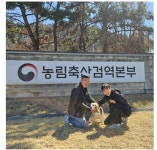 은퇴 검역탐지견 국화…제2의 견생 시작
