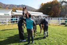 한국마사회, 장수목장 말 복지 봉사활동 실시