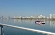 보름만에 또 멈춘 한강버스…서울시 불편 끼쳐 죄송