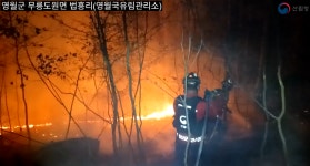 강원 영월 무릉도원면 국유리 산불 3시간 만에 진화