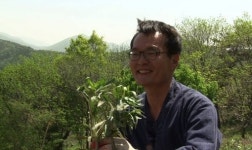 달맞이꽃으로 ‘억대 농부’ 변신