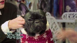 강인, 춘향이 비듬 보고 ‘충격’