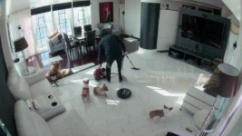 주병진, 개털과의 전쟁 선포