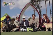 춘향이 애견 슈퍼주니어 결성