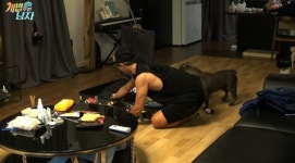 ‘개밥주는남자 시즌2’ 강타, 반려견들 위해 특별한 선물 준비