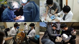 ‘관찰카메라 24’ 심장이 뛴다…동물 생명의 최전선을 가다