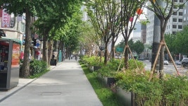 서울시, 미세먼지 대비 가로숲길 10만㎡ 조성