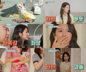 ‘펫대로하우스’ 박기량, 국내 최정상급 치어리더 박기량만큼 유명한 반려견 ‘몽이’를 위한 인테리어 공개
