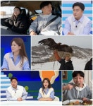 ‘선 넘은 패밀리’ 안정환 “중동에서 ‘독수리 쇼핑’ 영업당해 하마터면 살 뻔…” 생생 증언