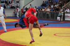 [청주세계무예마스터십] 173개 金 걸린 국제무예종합대회, 무예 고수를 찾아라