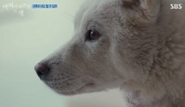 어쩌개 강형욱 다음 펫방 3.0을 이야기하다